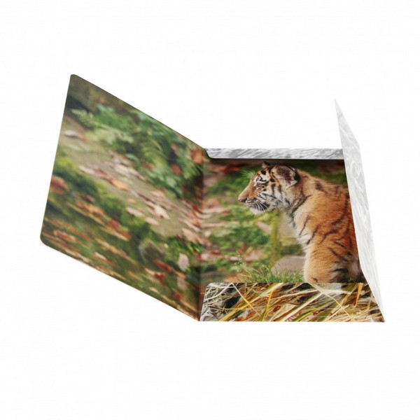Teczka z gumką A4 Wild Animal2 559730 STARPAK